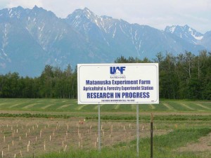 #9. Alaska