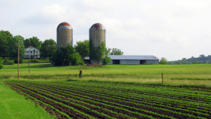 Chemtura AgroSolutions Acquired In Billion Dollar Deal
