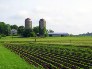 #5. Kansas