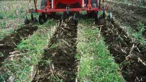 Managing Plant Nutrients When Both Manure And Fertilizer Applications Are Used