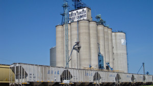 North Central Farmers Elevator, Wheat Growers Unification Approved By Board, Still Awaits Member Approval