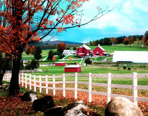 #7. Vermont