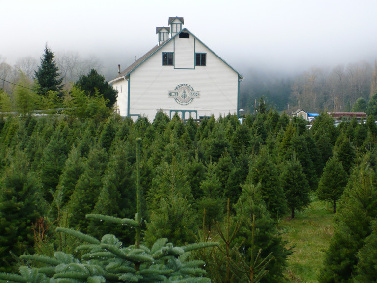#10. Washington