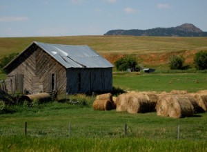 #3. Wyoming