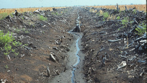 The Promise Of Progress On Water In 2016