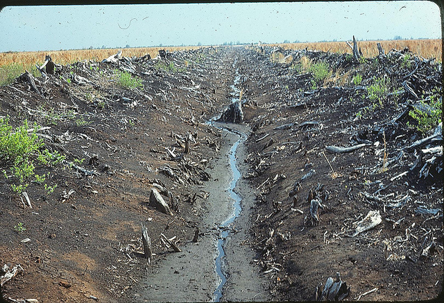 Ohio Water Quality Project To Determine How Much Phosphorus Is Leaving Fields