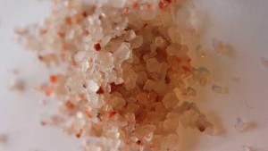 Rabobank: Global Fertilizer Prices Deteriorating