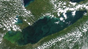 Study: Most Farmers Willing To Do More To Improve Water Quality