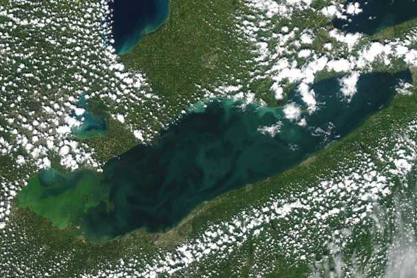CCAs Making Headway With 4R Program In Lake Erie Western Basin