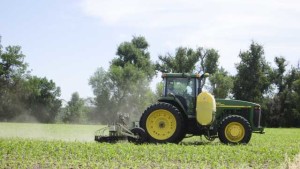 El Niño, Nitrate Loss Reduction Among Topics At University of Illinois Crop Management Conferences
