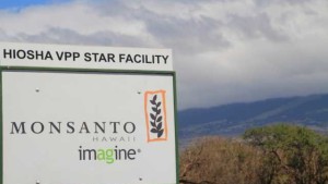 Monsanto: Syngenta Deal Won’t Completely Take Out Competition
