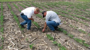 CropLife Compensation Survey: Battling Talent Drain