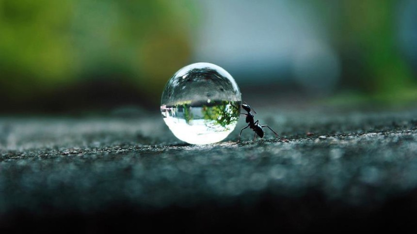 USDA Partners With EPA, Offers New Resources To Support Water Quality Trading