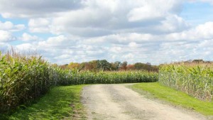 A Data-Sharing Quandary (OPINION)