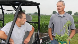 Latest Weed Management Technology, Strategies to Highlight Purdue’s Weed Day