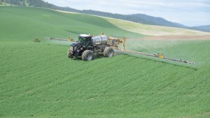 Willowood To Market Glufosinate