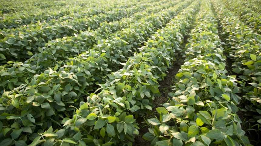 Pinnacle Agriculture Acquires Minnesota Retailer