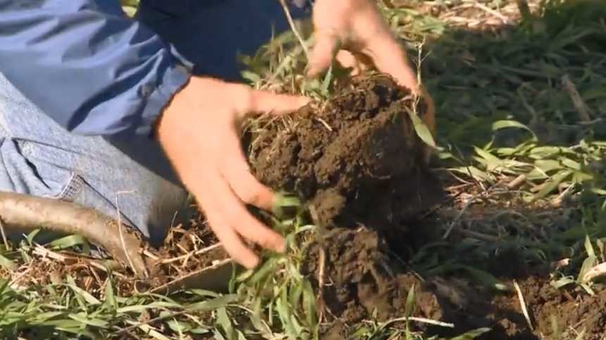 Report: Precision Nutrient Management, Cover Crops Among Smart Practices In Fighting Climate Change
