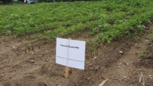 2015 ASA Trials Demonstrate Valent Fierce XLT Herbicide’s Performance