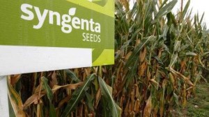 Will Monsanto And Syngenta Combine This Time?