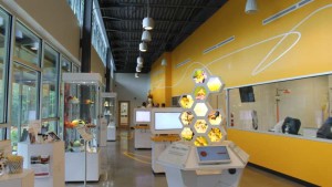 The Latest With Pollinators And Neonicotinoids