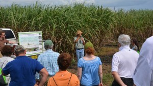 CTIC Tour Dives Deep Into Everglades
