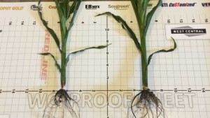 West Central Offers Performance Guarantee On Redline Starter Fertilizer