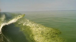 Ohio Grower: Why Water Quality Matters To Me