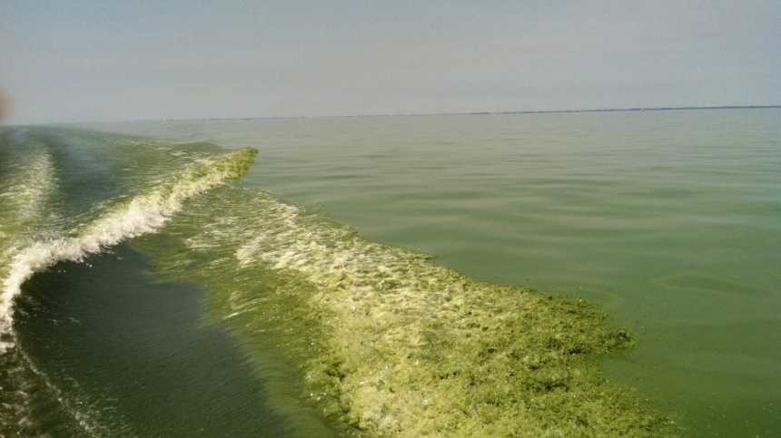 OSU Expert: Toledo Water Crisis A Turning Point For Ohio Farming