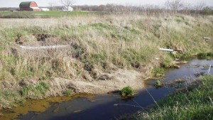 4R Management to Reduce Phosphorus Losses from Agricultural Subsurface Drainage