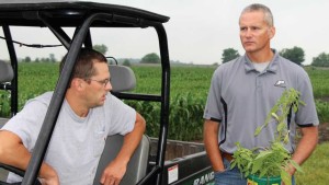 Dicamba-Resistant Pigweed Field Trial Announced