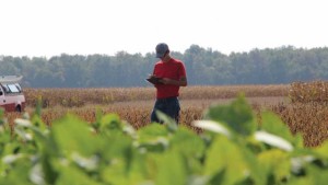 Finding Your Precision Ag Mindset