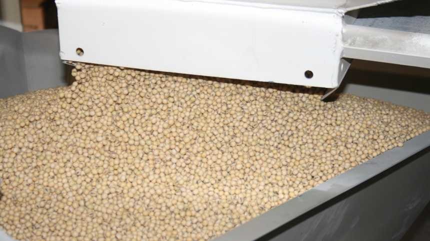 Proper Handling Of Inoculants And Legume Seed