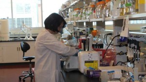 Verdesian Releases Take Off ST Seed Treatment
