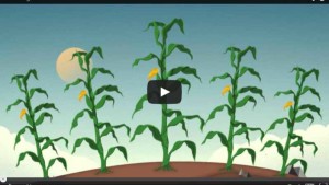 Understanding Microbes And The BioAg Alliance