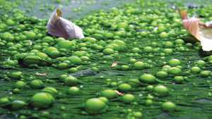 A Turning Point For Water In Agriculture