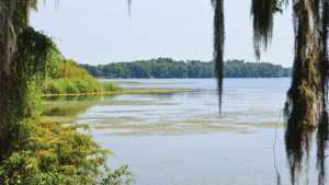 Florida Waters Making Serious Progress