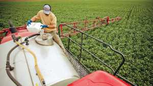 Adjuvants Trending Up For Fighting Weed Resistance