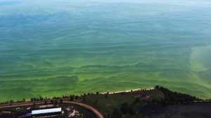 One Solution To Great Lakes Nutrient Troubles