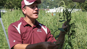 UGA Prof Says Rotating Chemistries Key To Winning Pigweed War