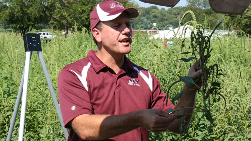 Study Evaluates Herbicide Application Timing in New Soybean Cropping Systems