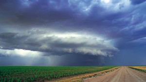 Effectively Mitigating Risk in Agribusiness: Understand Risk Exposures and Work with the Right Insurance Partner