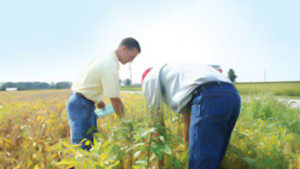 DuPont Pioneer Releasing 12 Roundup Ready 2 Xtend Soybean Varieties For 2016