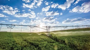 Nebraska Getting Water Conservation Right