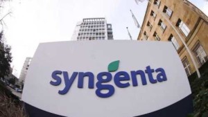 Syngenta Appoints U.S. Seeds Executives