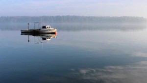 Court Decision Protects Chesapeake Bay’s Water, Wildlife
