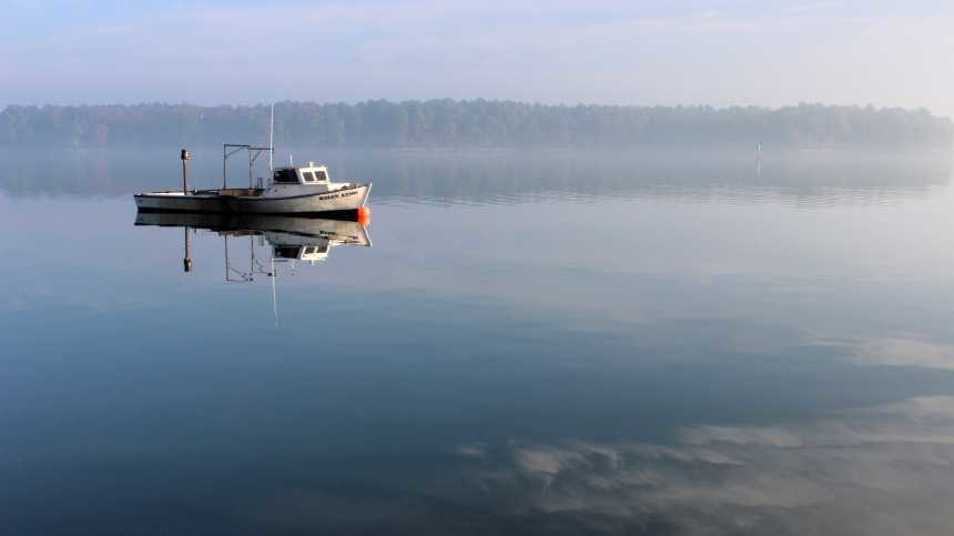 Court Decision Protects Chesapeake Bay’s Water, Wildlife