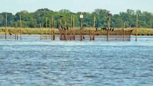 Keeping A Watch On Water Issues