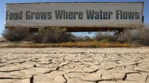 California Water Users Seeking Solutions