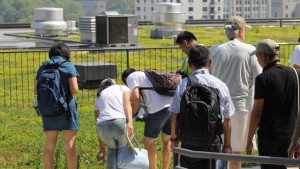 Environmental Respect: Going Green In The Middle Of Philadelphia